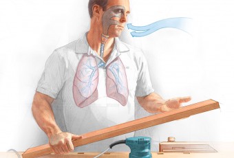 medical illustration, anatomical illustration