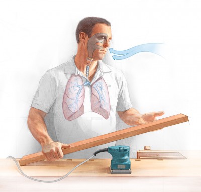 medical illustration, anatomical illustration