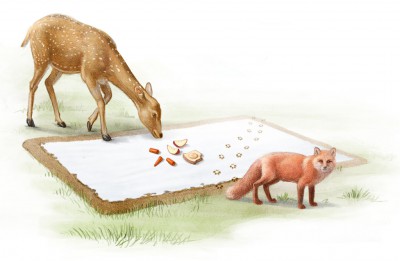 wildlife illustration, kids magazines