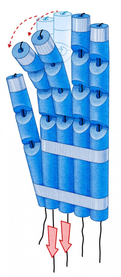 childrens book illustrations, kids science, how things work