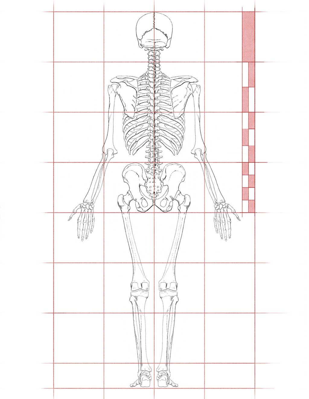 Figure It Out! Human Proportions: Draw the Head and Figure Right